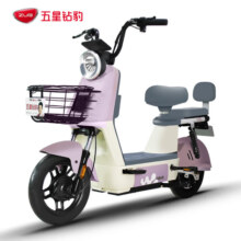 五星钻豹电动车新国标48V18AH电瓶车电动自行车 B15 源彩暮灰/漫步白