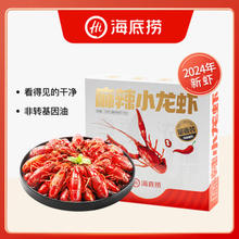 海底捞 麻辣小龙虾1.5kg量贩装 2024年新虾标号3-5钱/只净虾1kg加热即食