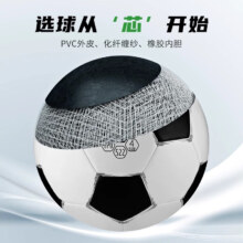 晨光 标准青少年成人 运动训练球 赛事专用球机缝耐磨 5号/PVC不破皮/黑白AST09516