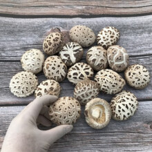 特产大花菇 香菇4-6cm 随州 冬菇 干货 食用菌蘑 冬花菇250g*2