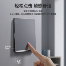 PLUS会员、概率券：fdd 国际电工 F15 开关 一开单控