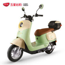 31日20点：ZUB 五星钻豹 G2 电动车 ZB1200DT-37