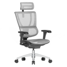 Ergonor 保友优b2/雄鹰 电脑椅人体工学椅家用 电竞椅办公椅子靠背老板椅 【优b2】银白网-尼龙脚 精准承托 舒适久坐