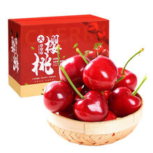 佳宝臣 VEYBOUSON 现货顺丰直发 2.5kg 山东大樱桃 国产车厘子 单果 22-26mm中大果