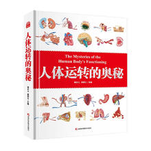 《人体运转的奥秘》