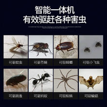 帛正 超声波驱蚊神器家用室内驱虫灭蝇灭蚊灭苍蝇蚊子鼠克星灯器一扫光