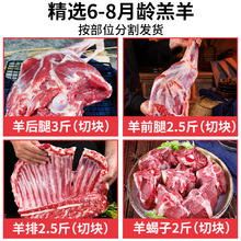 祁连天宝 半只羊10斤乳羔羊生羊肉羊腿羊排羊蝎子火锅食材