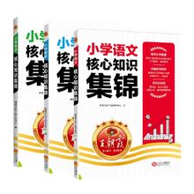 王朝霞核心知识集锦 小学通用