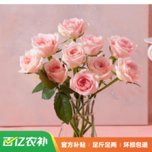 京东百亿补贴:花点时间【热卖】玫瑰10枝-颜色随机
