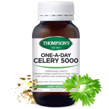 汤普森Thompson's 高浓度芹菜籽西芹精华胶囊5000mg 关节骨骼健康平衡尿酸 60粒/瓶 1日1粒 澳洲进口