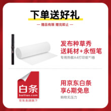 汉印（HPRT）A4学生家用学习小型作业错题整理 手机远程高清热敏无墨打印机 wifi连接便携式 FT800官方标配