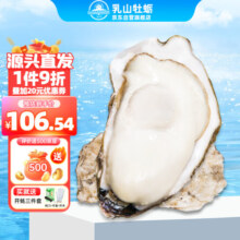 乳山牡蛎 鲜活乳山生蚝2XL号 单只120g起 净重5kg 35-40只装箱装