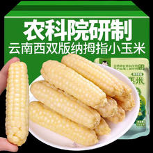 西双版纳 拇指玉米 净重5斤