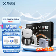 iFLYTEK 科大讯飞 Nano+ 无线蓝牙耳机 小银盒套装