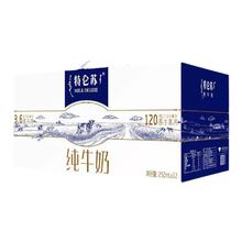 特仑苏 蒙牛特仑苏纯牛奶250mL×12包整箱特价批学生营养早餐