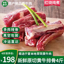 伊民康洋 宁夏黄牛肉 生鲜原切牛腩金钱腱牛排骨牛上脑肥牛卷清真源头直发 牛排骨 2kg （4斤）