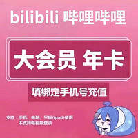 bilibili 哔哩哔哩 超级大会员12个月年卡
