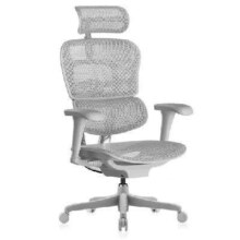 20日20点：Ergonor 保友 金豪b 2代 人体工学椅