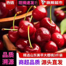鲁禧 山东大樱桃 美早3斤装XL级（果径约24-26mm）