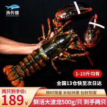 渔传播 波士顿龙虾 2只 1kg 礼盒装