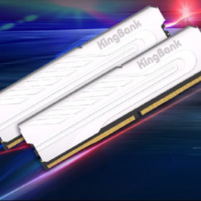 31日20点、PLUS会员：KINGBANK 金百达 32GB(16GBX2)套装 DDR5 6400 台式机内存条海力士M-die颗粒 银爵 C32