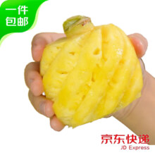 plus会员：趣鲜语 海南手撕凤梨菠萝小果 2-3个装 净重3-3.5斤
