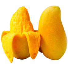 PLus会员，闽域寻鲜正宗金煌芒5斤大果 单果【400g+】净重4.5斤 轻微花皮，催熟食用
