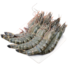 Plus会员:望涎 大号黑虎虾8-10只每盒 400g 17-19cm*2件