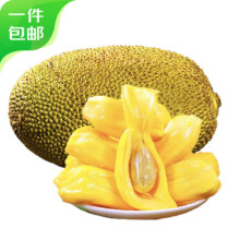 农锦鲜 海南菠萝蜜 一个装25-30斤新鲜水果
