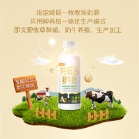 悦鲜活 A2β-酪蛋白鲜奶  950ml