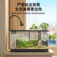 KUOTING 阔庭 鱼缸小型客厅2024新款造景生态缸过滤制氧一体机金鱼底滤系统整套