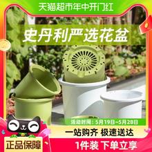 STANLEY 史丹利 花盆托盘家用兰花蝴蝶兰塑料花盆轻奢高级感塑料盆景