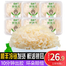 古松福建特产古田新鲜银耳非干货雪耳丑耳 白木银耳莲子羹6朵700g