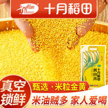百亿补贴：十月稻田 黄小米