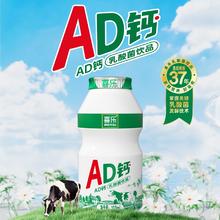 喜乐 AD钙奶饮 100ml*12瓶