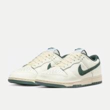 耐克（NIKE）DUNK LOW 男子运动鞋 FQ8080-133 41