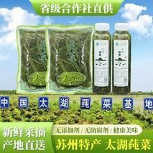 太湖莼菜无添加剂350克苏州特产新鲜莼菜食用嫩芽菜蔬菜正宗