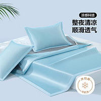 BLISS 百丽丝 A类可水洗冰丝凉席 120cm×195cm （两件套）
