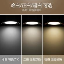 88VIP会员：DELIXI 德力西 新款led筒灯嵌入式家用客厅防眩桶灯led筒灯圆形