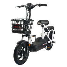 20 点ZUB 五星钻豹 A0 电动自行车 TDT29Z 48V12Ah铅酸电池 源彩黑/F星辰白
