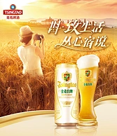青岛啤酒 全麦白啤500mL*12听*2件 赠汉斯菠萝啤330mL*12罐