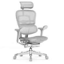 20号20点、PLUS会员：Ergonor 保友办公家具 金豪E 2代 人体工学电脑椅 银白色 Q4.0版