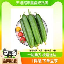 88VIP会员：喵满分 新鲜现摘水果小黄瓜嫩青瓜生吃蘸酱荷兰无刺黄瓜3斤