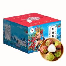 plus：泰汇吃 【顺丰/JD冷链】海南妃子笑荔枝 净重 4.5斤 【精选特大果】