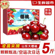 PLUS会员：桦萱 大樱桃 精品大果 5斤礼盒装