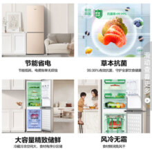 容声（Ronshen）172升两门双门家用小冰箱 风冷无霜节能低噪独立调温租房宿舍不占地BCD-172WD11D[官方直发]
