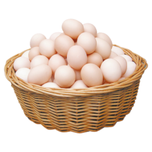 PLUS会员、有券的上：荆品 名门鸡蛋 12枚 480g