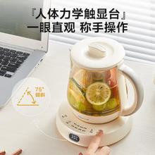 88VIP会员：Bear 小熊 养生壶家用mini装0.8升容量