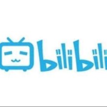 bilibili 哔哩哔哩 大会员年卡12个月