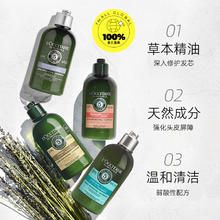 L'OCCITANE 5合1草本菁纯护发素护发乳250ml强韧修护蓬松控油